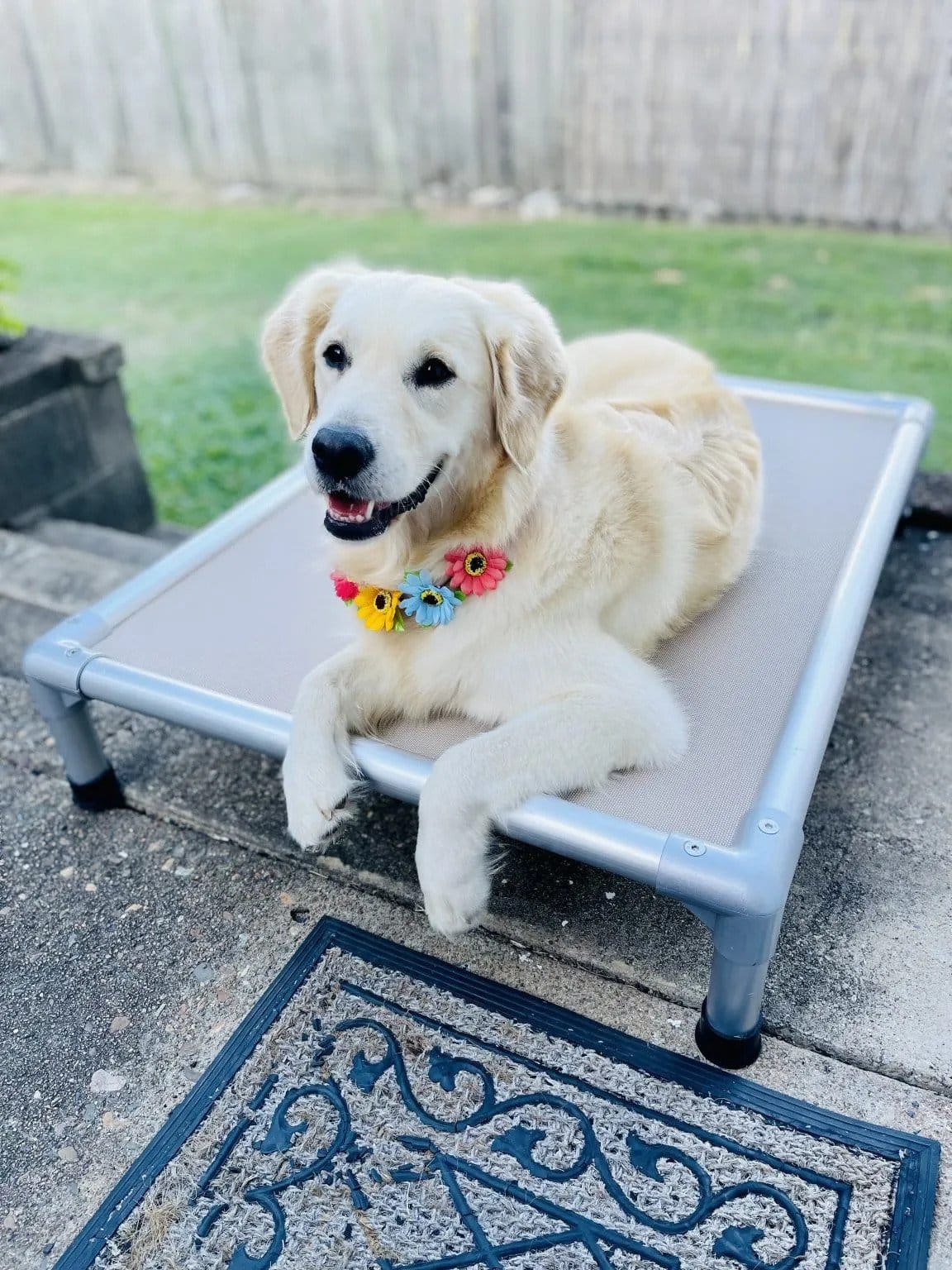 ChewProof Dog Bed