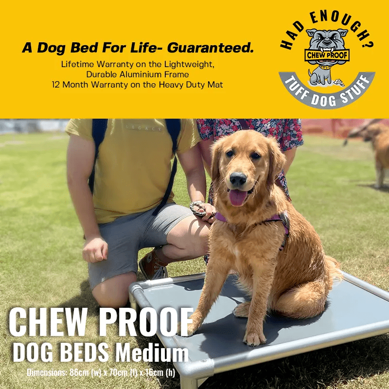 MEDIUM CHEWPROOF DOG BED WITH RIPLOCK PVC MAT - Image 3