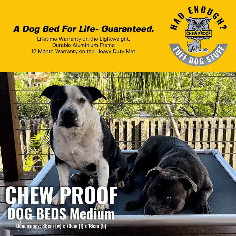 MEDIUM CHEWPROOF DOG BED WITH MESH MAT - Image 3