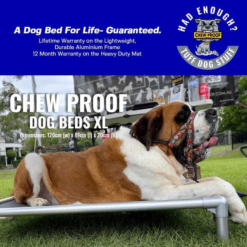 XL CHEWPROOF DOG BED WITH RIPLOCK PVC MAT - Image 3