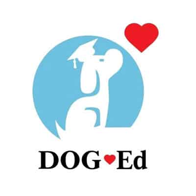 dog-ed