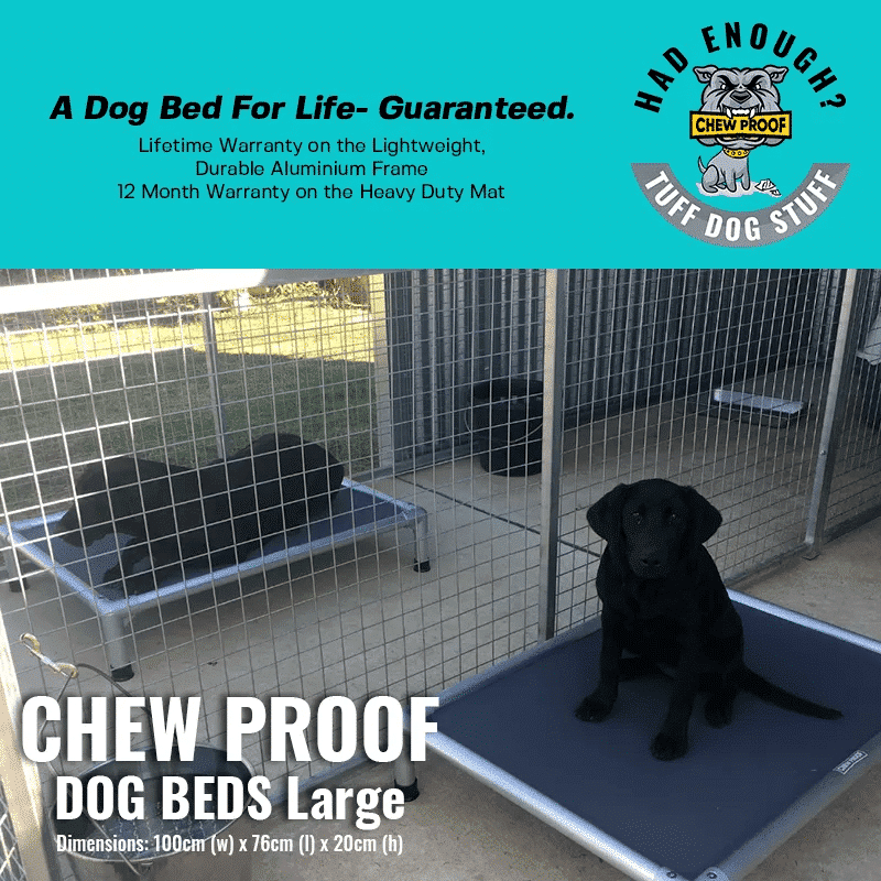 LARGE CHEWPROOF DOG BED WITH RIPLOCK PVC MAT - Image 3