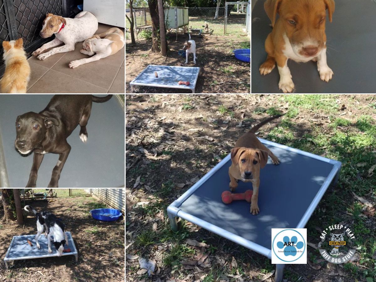 Animal Rescue Tablelands Support from ChewProof