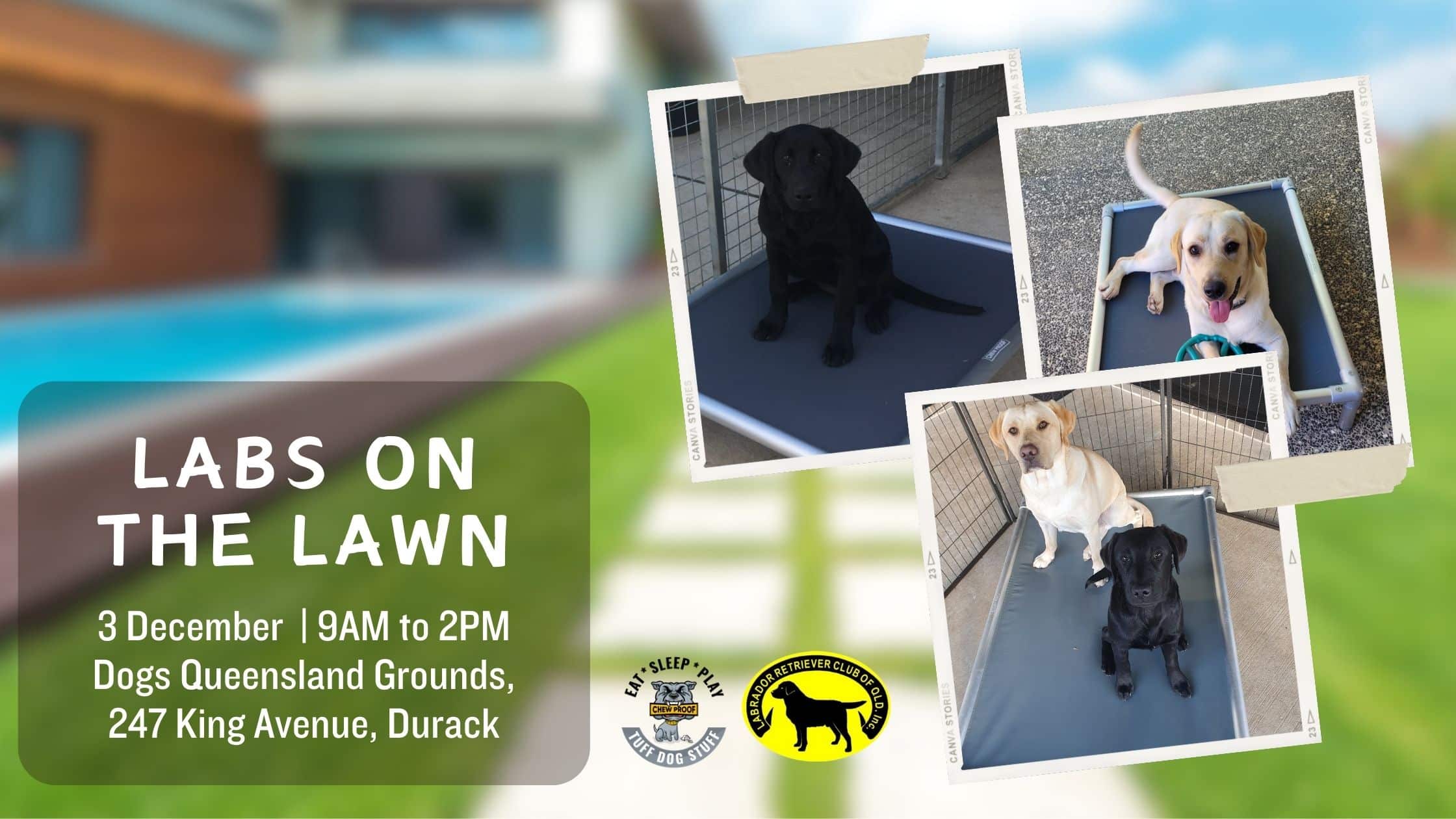 Labs on the Lawn Event