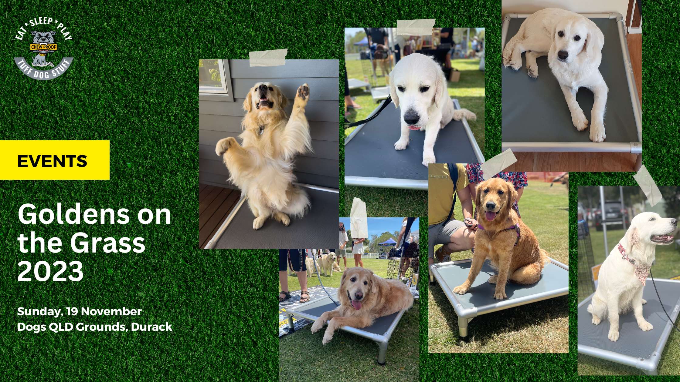 golden retrievers event chewproof bed