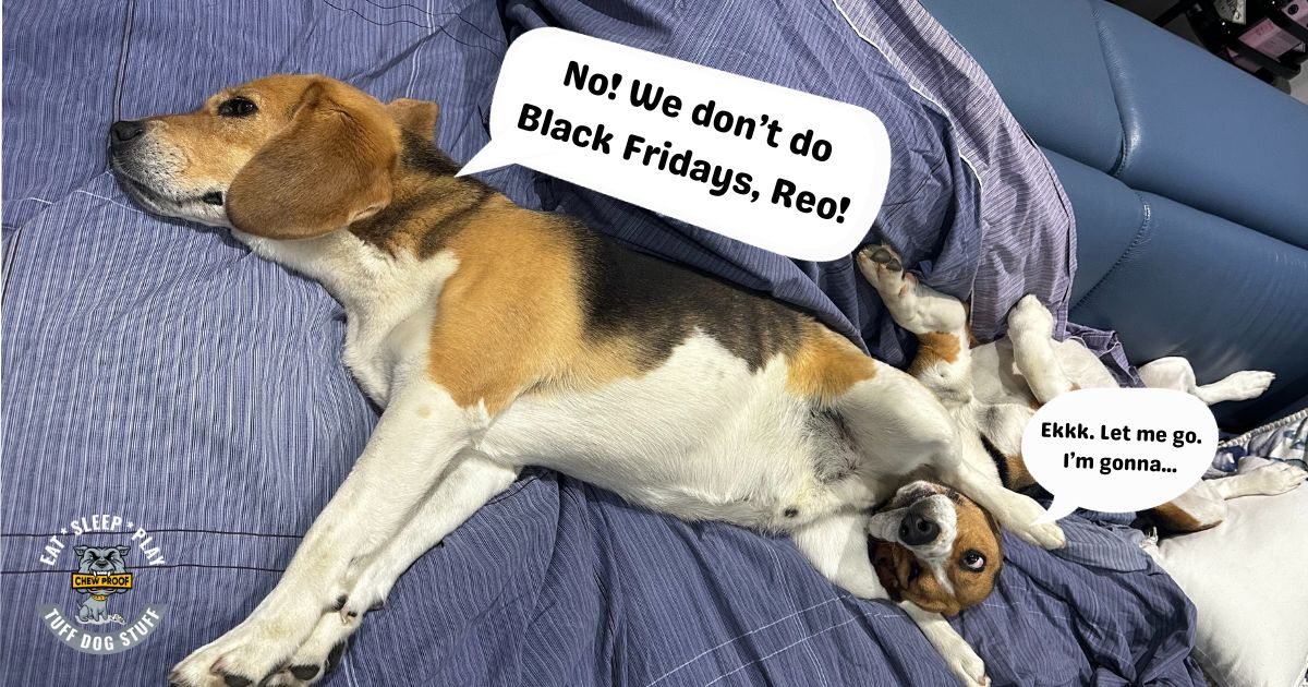 no black friday chewproof