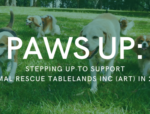 Paws Up: Stepping Up to Support Animal Rescue Tablelands Inc (ART) in 2024