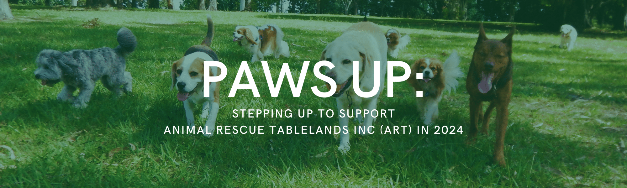 Supporting Animal Rescue